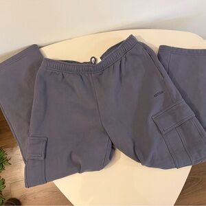 Aritzia Gray Cargo Joggers